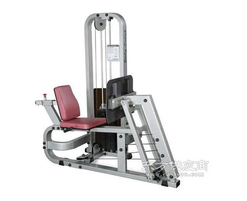 康辉健身器材 威海专业动感单车生产厂家图鉴与选购指南